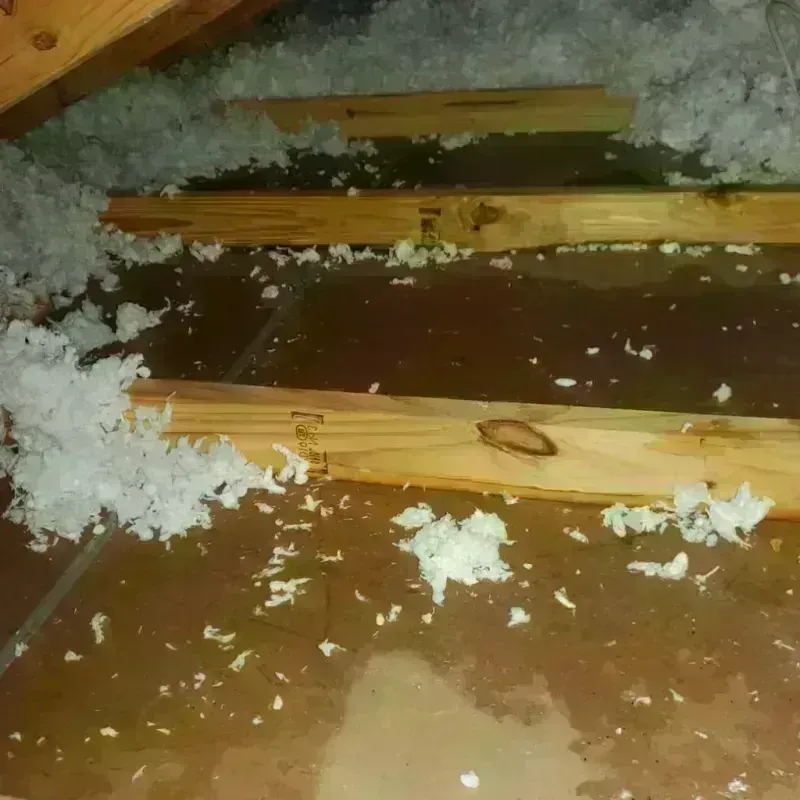 Attic Water Damage in Sheridan, WY