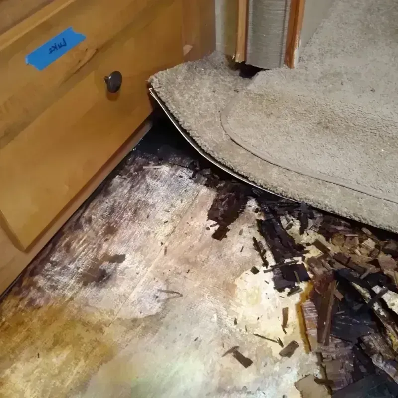 Wood Floor Water Damage in Sheridan, WY